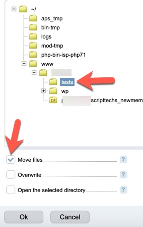 Move files ISPmanager